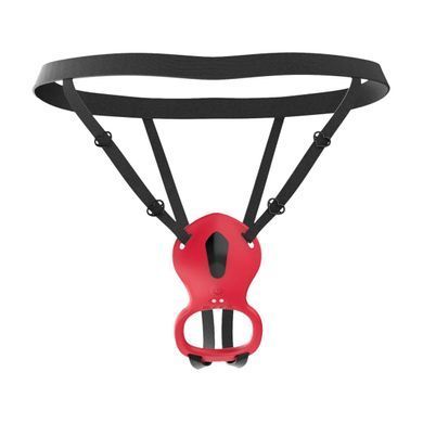 Вібратор у трусики з трусиками та пультом Teazers Wearable Clitoral Stimulator with adjustable harness - фото
