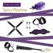Подарунковий набір для BDSM RIANNE S Kinky Me Softly Purple - фото товару