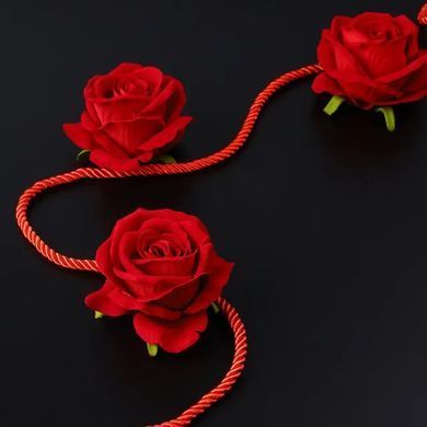 Веревка для шибари LOCKINK SEVANDA Shibari Pratice Rope Red (8 м)