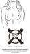 Затискачі для сосків зі стразом Bad Kitty Nipple Jewellery black - фото товару