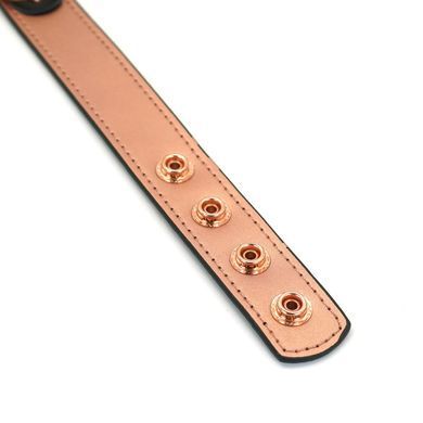 Нашийник із затискачами на соски Liebe Seele Rose Gold Memory - фото