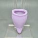 Набор менструальных чаш Fun Factory FUN CUP EXPLORE KIT Multicolored Violet (размер А + B) фиолетовый - фото товара