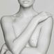 Тату-прикраса на груди Bijoux Indiscrets MIMI Metallic Skin Transfer  - фото товару