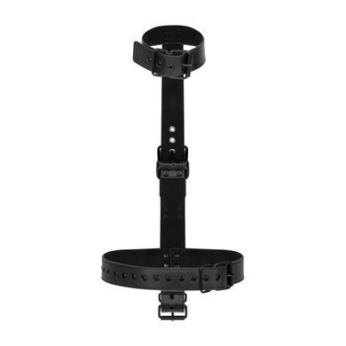 Фіксатор для рук Bedroom Fantasies Seductive Straps Body Restraint Set - фото