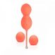 Смарт вагінальні кульки з вібрацією We-Vibe Bloom Kegel Balls - фото товару