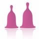 Набір менструальних чаш RIANNE S Femcare Cherry Cup - фото товару