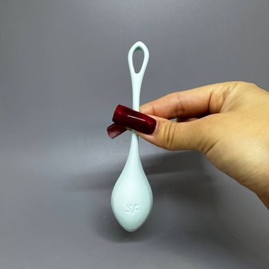 Набор вагинальных шариков Satisfyer Yoni Power 2 Light Blue - фото