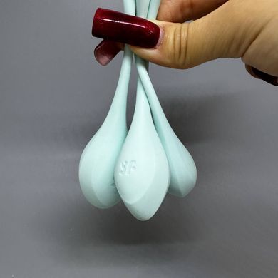 Набор вагинальных шариков Satisfyer Yoni Power 2 Light Blue - фото