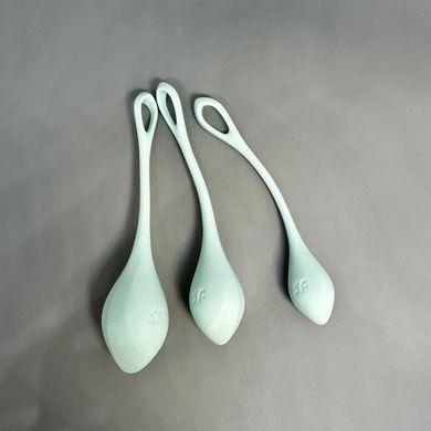 Набор вагинальных шариков Satisfyer Yoni Power 2 Light Blue - фото