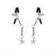 Зажимы для сосков Liebe Seele Starfish Nipple Clamps Silver - фото товара