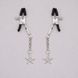 Зажимы для сосков Liebe Seele Starfish Nipple Clamps Silver - фото товара