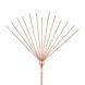 Тіклер з флоггером Rosy Gold Feather Tickler & Whip