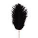 Тіклер з флоггером Rosy Gold Feather Tickler & Whip