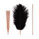 Тіклер з флоггером Rosy Gold Feather Tickler & Whip