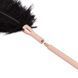 Тіклер з флоггером Rosy Gold Feather Tickler & Whip