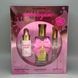 Подарочный набор Bijoux Indiscrets Bubblegum Play Kit