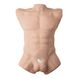 Фалоімітатор торс SilexD Apollo L Male Torso (17,8 см) - фото товару