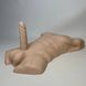 Фаллоимитатор торс SilexD Apollo L Male Torso телесный (17,8 см) - фото товара