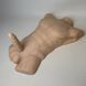 Фаллоимитатор торс SilexD Apollo L Male Torso телесный (17,8 см) - фото товара