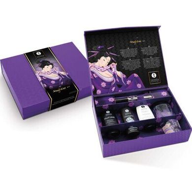 Набор Shunga Naughtier Kit