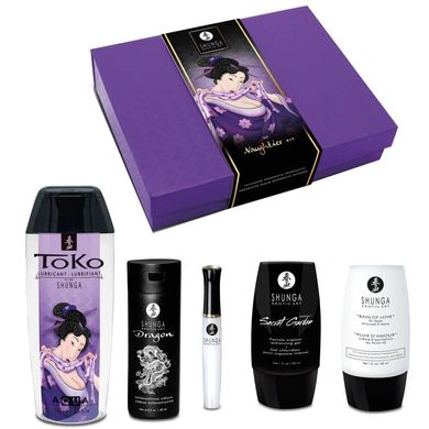 Набор Shunga Naughtier Kit