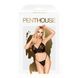 Комплект бра и стрінги Penthouse Double Spice Black L/XL - фото товару