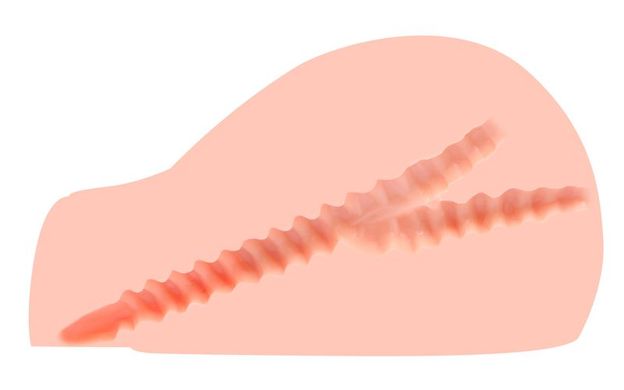 Мастурбатор полуторс з вібрацією Kokos Juliana Deluxe (вагіна і анус) - фото