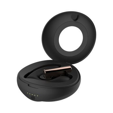 Вибратор в трусики с пультом Rosy Gold Remote Control Panty Vibrator - фото