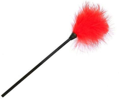 Набір аксесуарів BDSM JSY KB80608 Red 10 pcs - фото
