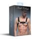 Чоловіча портупея Feral Feelings Bulldog Harness Black