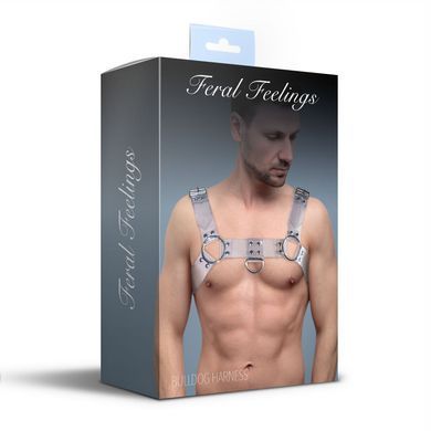 Мужская портупея Feral Feelings Bulldog Harness Trasparent