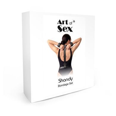 Набір для фіксації з екошкіри Art of Sex Shandy L-2XL - фото
