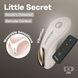 Satisfyer Little Secret вібратор у трусики на батарейках з пультом - фото товару