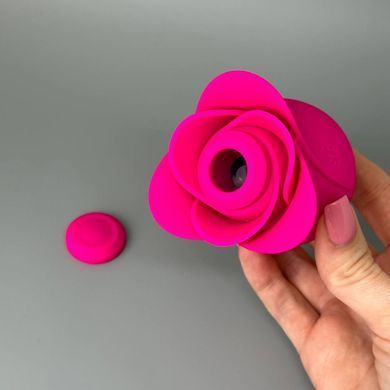 Вакуумний кліторальний стимулятор Satisfyer Pro 2 Modern Blossom - фото