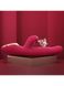 Вібратор-кролик з вакуумною стимуляцією і стволом, що обертається Kistoy A-King Max Red - фото товару