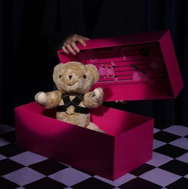 Подарунковий набір з ведмедиком UPKO «Bear With Me» Limited Gift Set