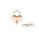 Замочок Liebe Seele Heart Shape Padlock Rose Gold (2 шт)