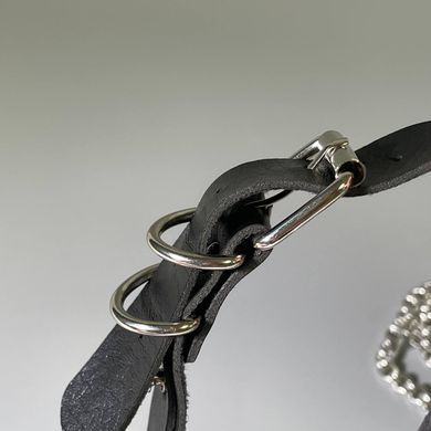 Нашийник Fetish Tentation Spikes and Leash - фото