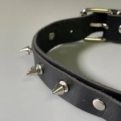 Нашийник Fetish Tentation Spikes and Leash - фото