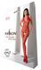 Бодістокінг з доступом Passion BS100 red One Size - фото товару