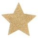 Пэстис-стикини Bijoux Indiscrets Flash Star Gold, наклейки на соски - фото товара