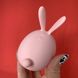 Вакуумний стимулятор клітора з вібрацією KissToy Miss KK Pink - фото товару