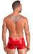 Чоловічі шорти Noir Handmade H097 Ignite shorts S