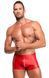 Чоловічі шорти Noir Handmade H097 Ignite shorts S