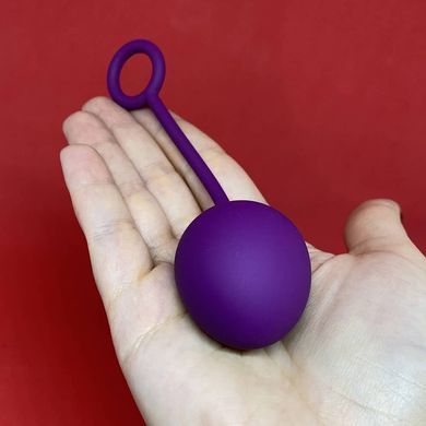Набір вагінальних кульок фіолетовий Svakom Nova Ball: як повернути чутливість - фото