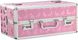 Кейс для зберігання BMS Factory Large Lokable Vibrator Case Pink - фото товару