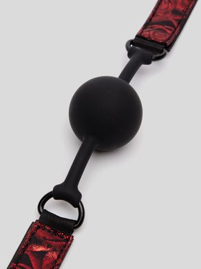 Кляп Fifty Shades of Grey Sweet Anticipation Reversible Silicone Ball - фото