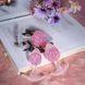 Анальна пробка Liebe Seele Icecream-shaped Crystal Anal Plug Pink Medium 3,9 см рожева - фото товару