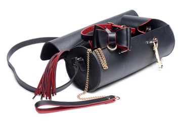 БДСМ набор 9 предметов Master Series Bow Luxury BDSM Set With Travel Bag - фото
