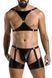 Мужской комплект белья Passion 047 SET ARON black XXL/XXXL - фото товара